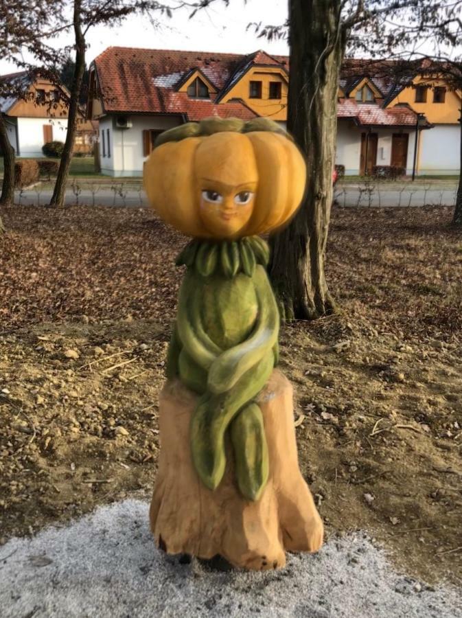 Apartma Marjetica 2 モラフスケ・トプリツェ エクステリア 写真